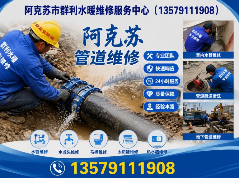 拜城县阿克苏本地疏通展示图